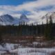 Brainard Lake Recreation Area Colorado Snowshoeing Trail