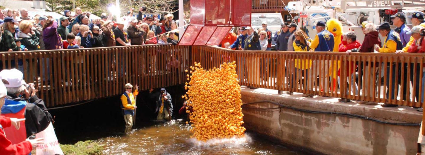 Estes Park Duck Race Drop Duck