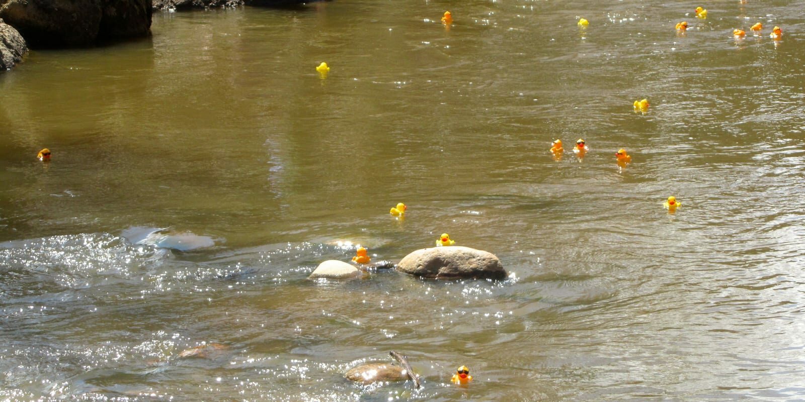 Estes Park Duck Race Festival Colorado