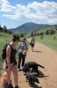 Hiking With Dogs Boulder CO Group Hike