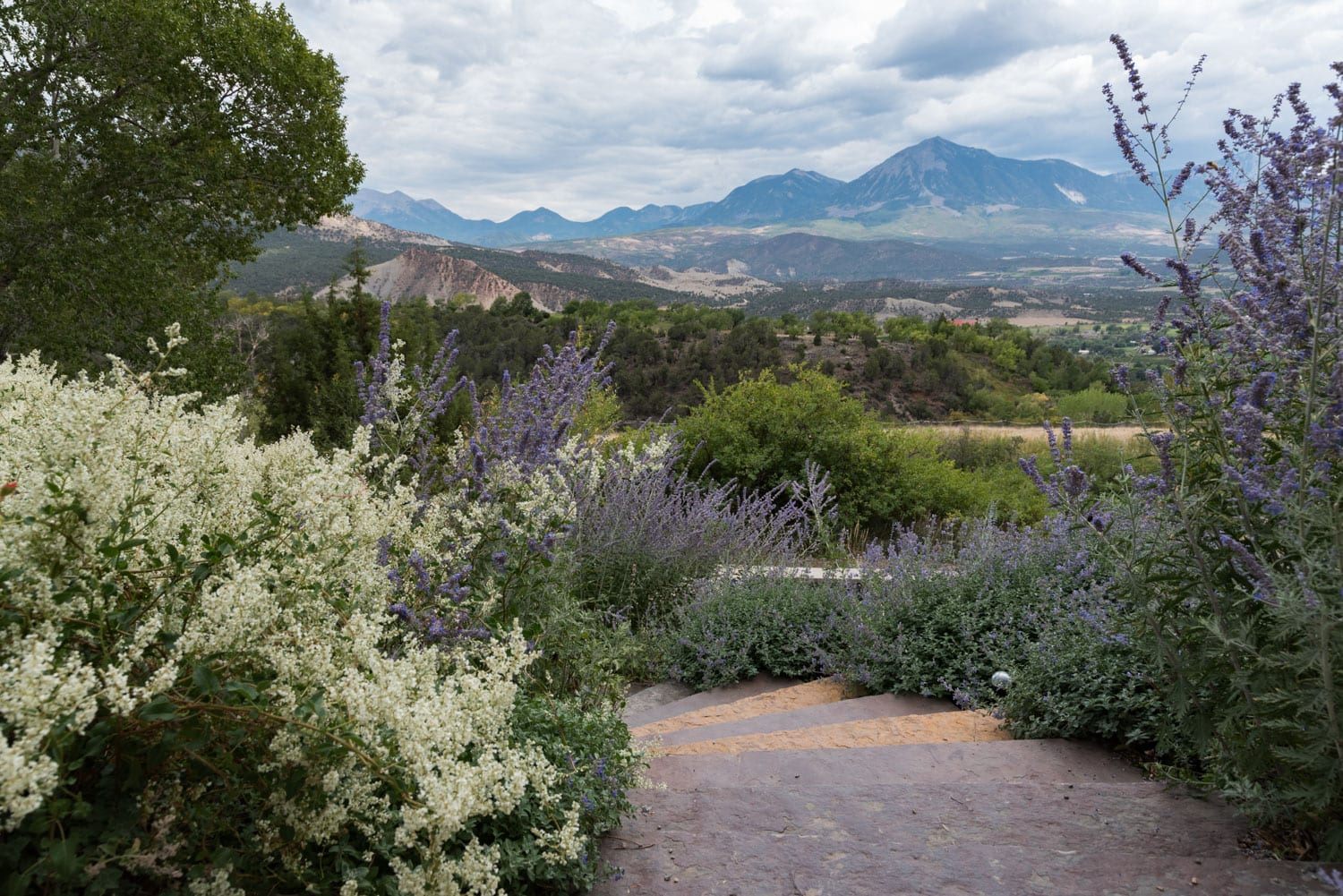 image of Azura Cellars winery