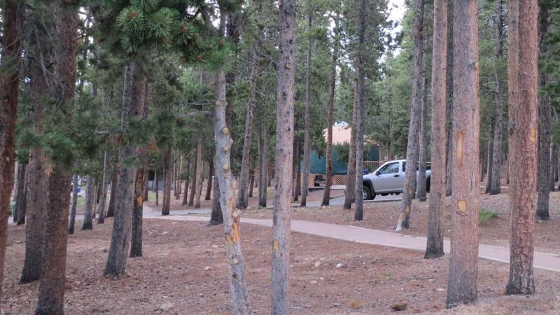 Golden Gate Canyon State Park Campground Yurt