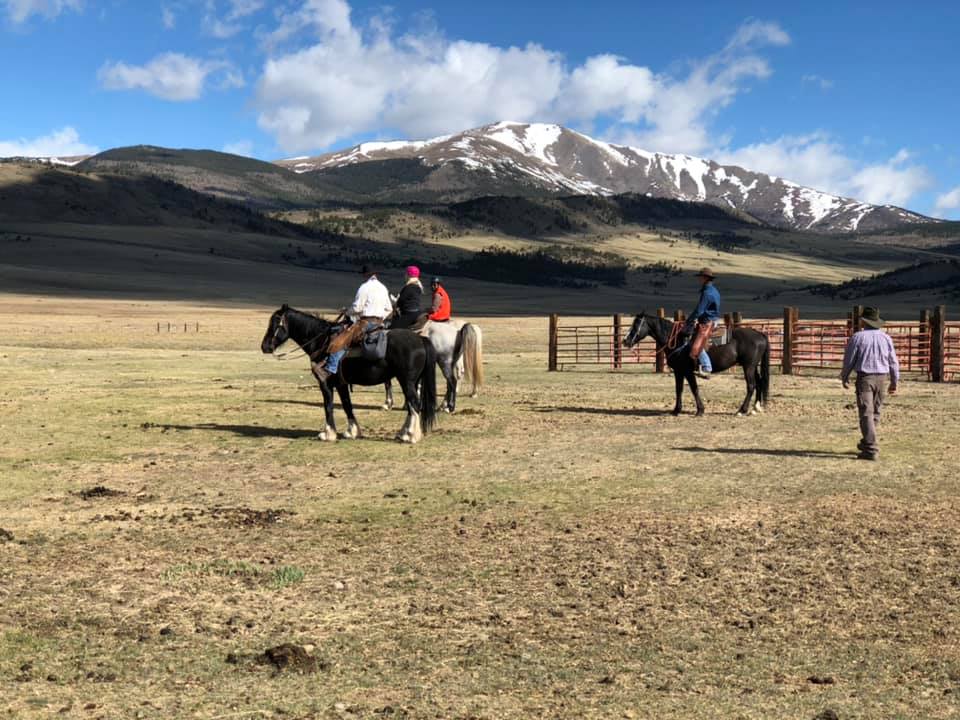 American Safari Ranch, Colorado