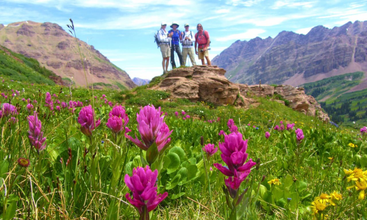 Crested Butte Wildflower Festival Hikes