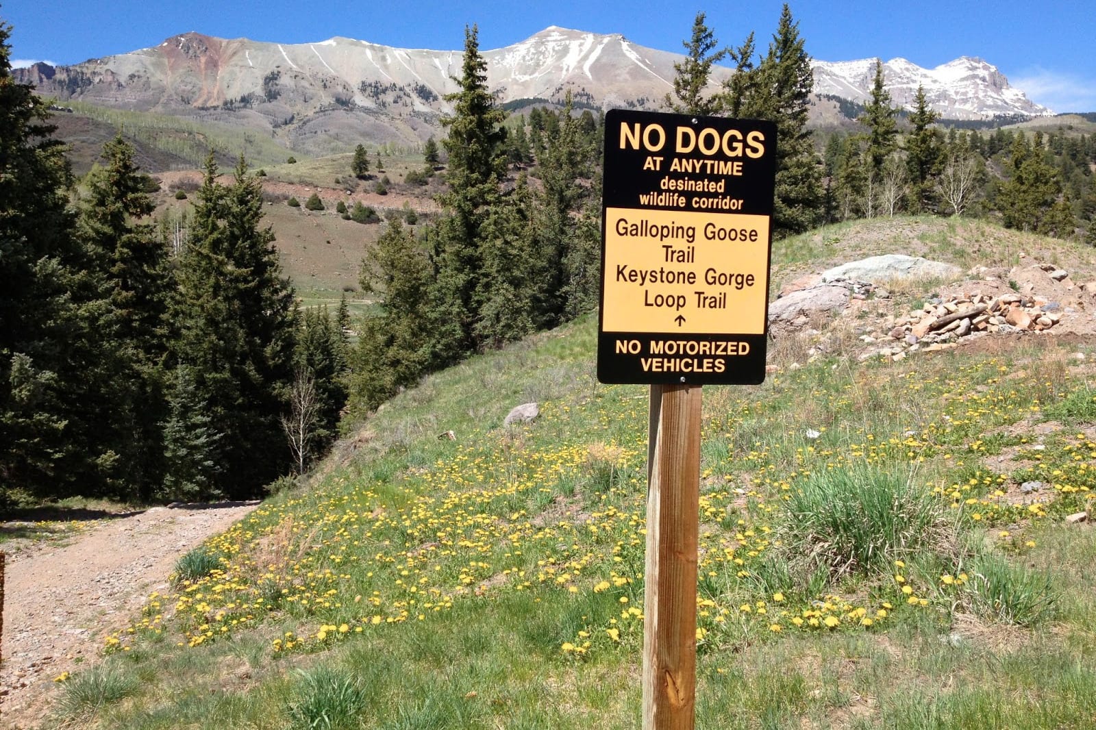 Hiking Telluride CO Keystone Gorge Loop Trail No Dogs Sign