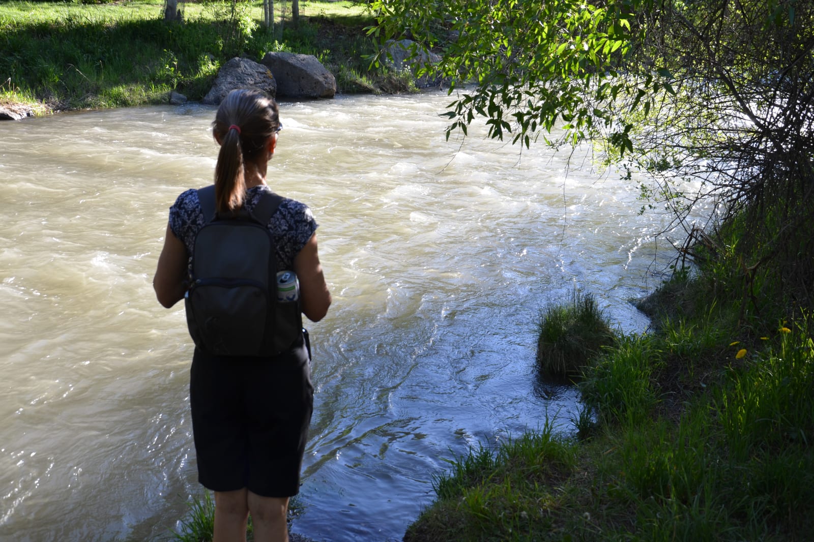 Hiking Telluride CO San Miguel River Trail Water