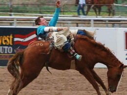 Meeker Range Call Rodeo Cowboy