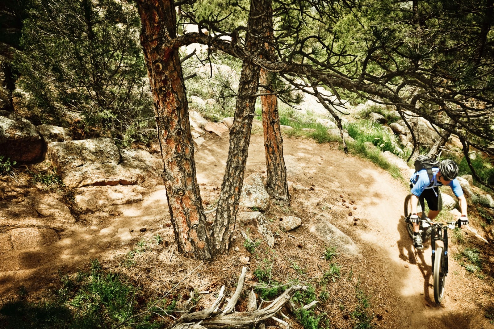 Mountain Bike Service