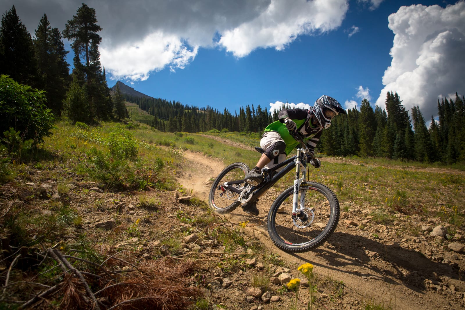 Mountain Bike Service