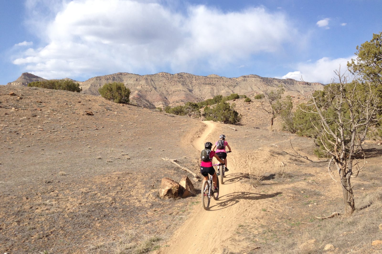 Mountain Bike Service North Fruita Desert Trails
