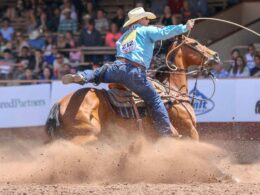 Pikes Peak Or Bust Rodeo Colorado Springs Cowboy