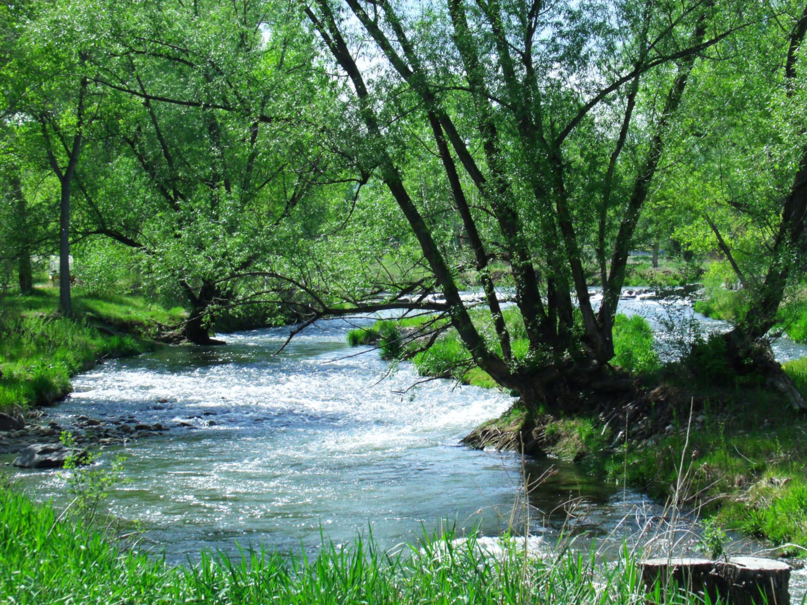 Clear Creek Trail Wheat Ridge Greenbelt Prospect Park River