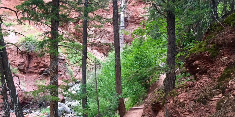 Cornet Creek Falls Telluride Colorado