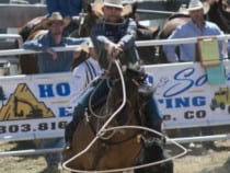 Colorado Rodeos | Annual Western Rodeos and Professional Bull Riding in CO