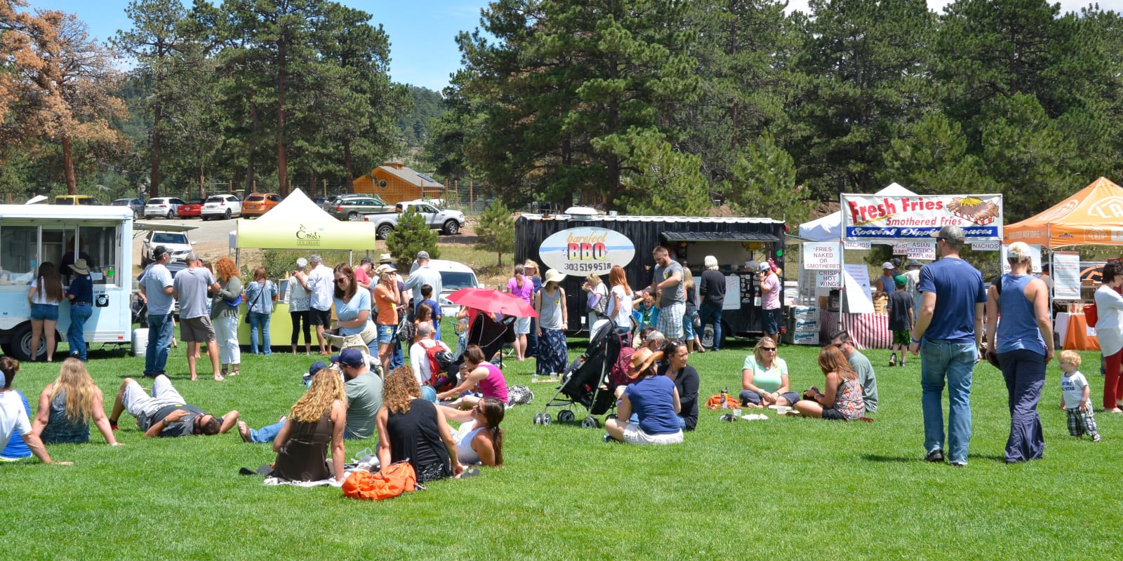 43rd Evergreen Summerfest 2025 July Art Festival