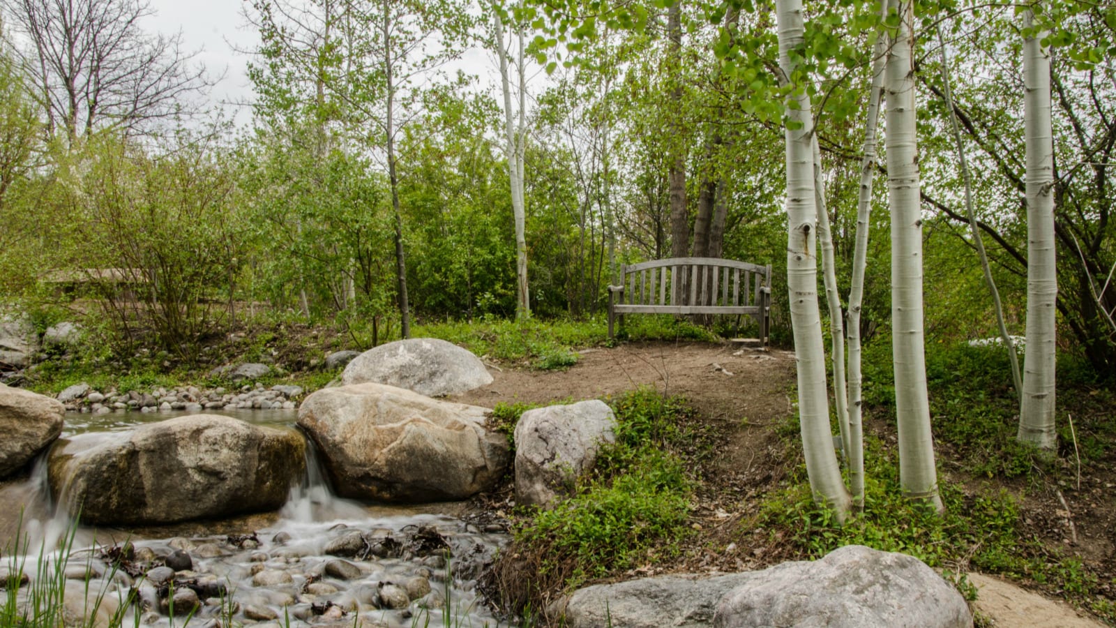 Hudson Gardens Littleton CO Spring Bench