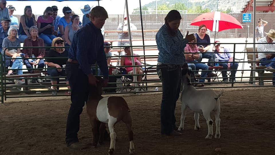 Middle Park Fair and Rodeo