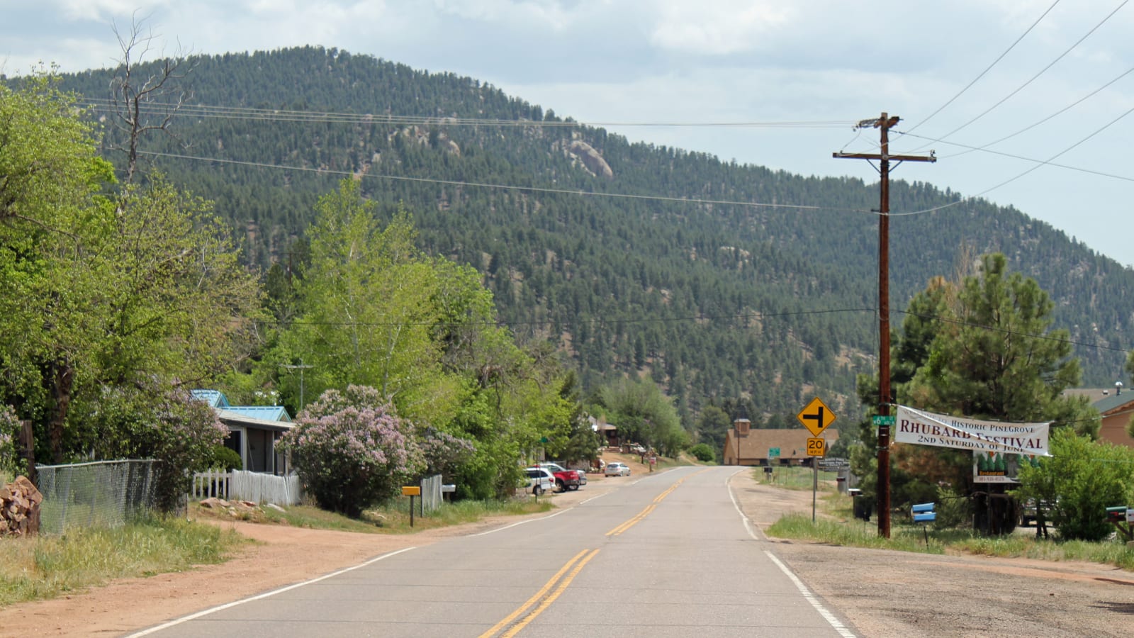 Pine CO