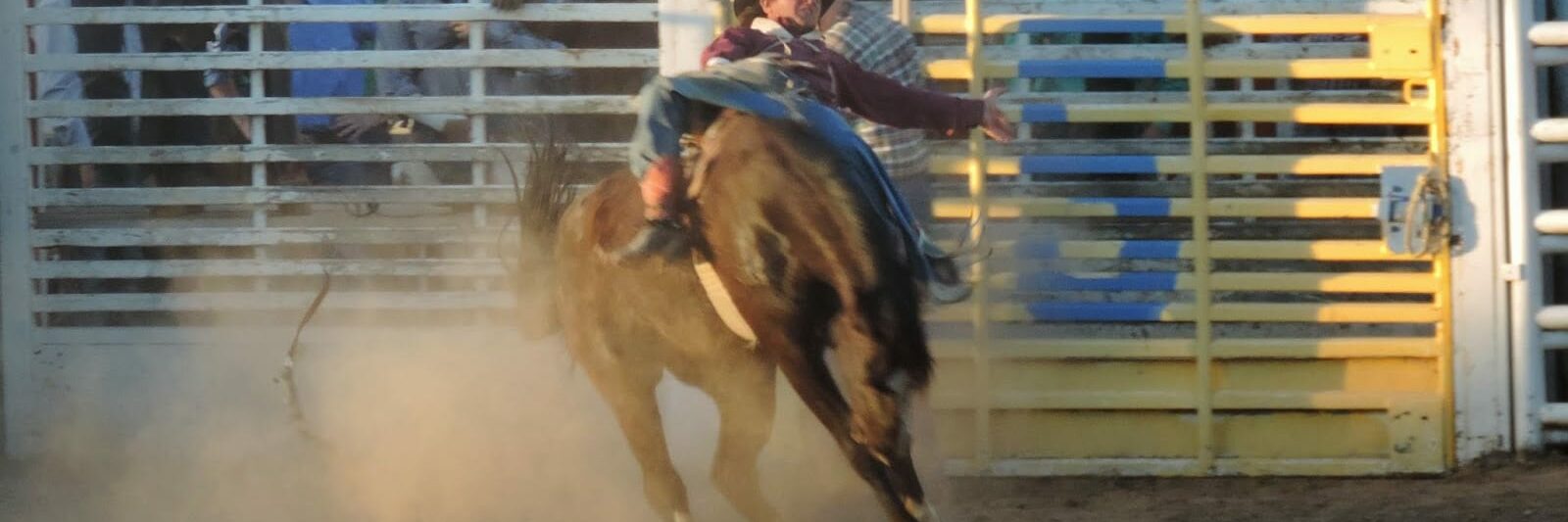 Royal Gorge Rodeo Canon City Colorado