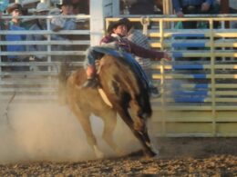 Royal Gorge Rodeo Canon City Colorado