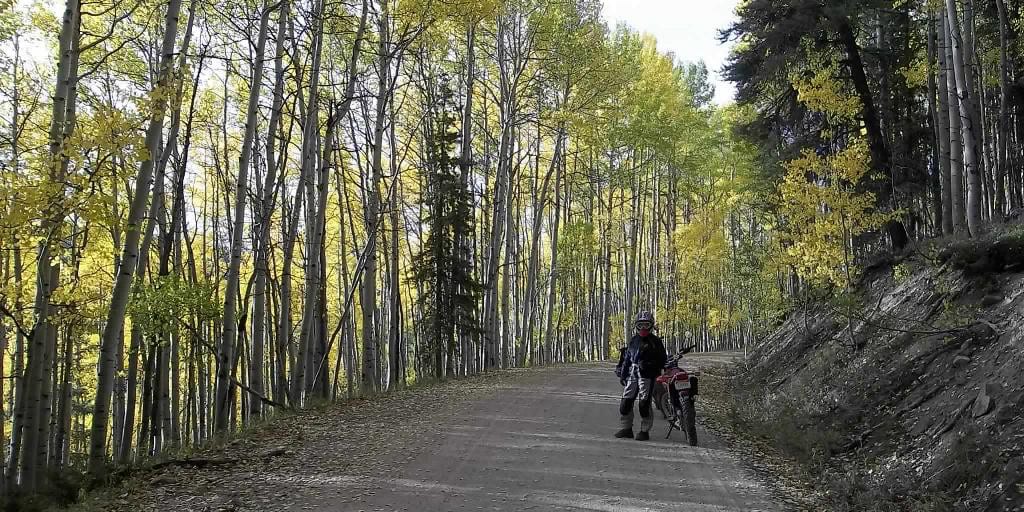 Waunita Pass Colorado