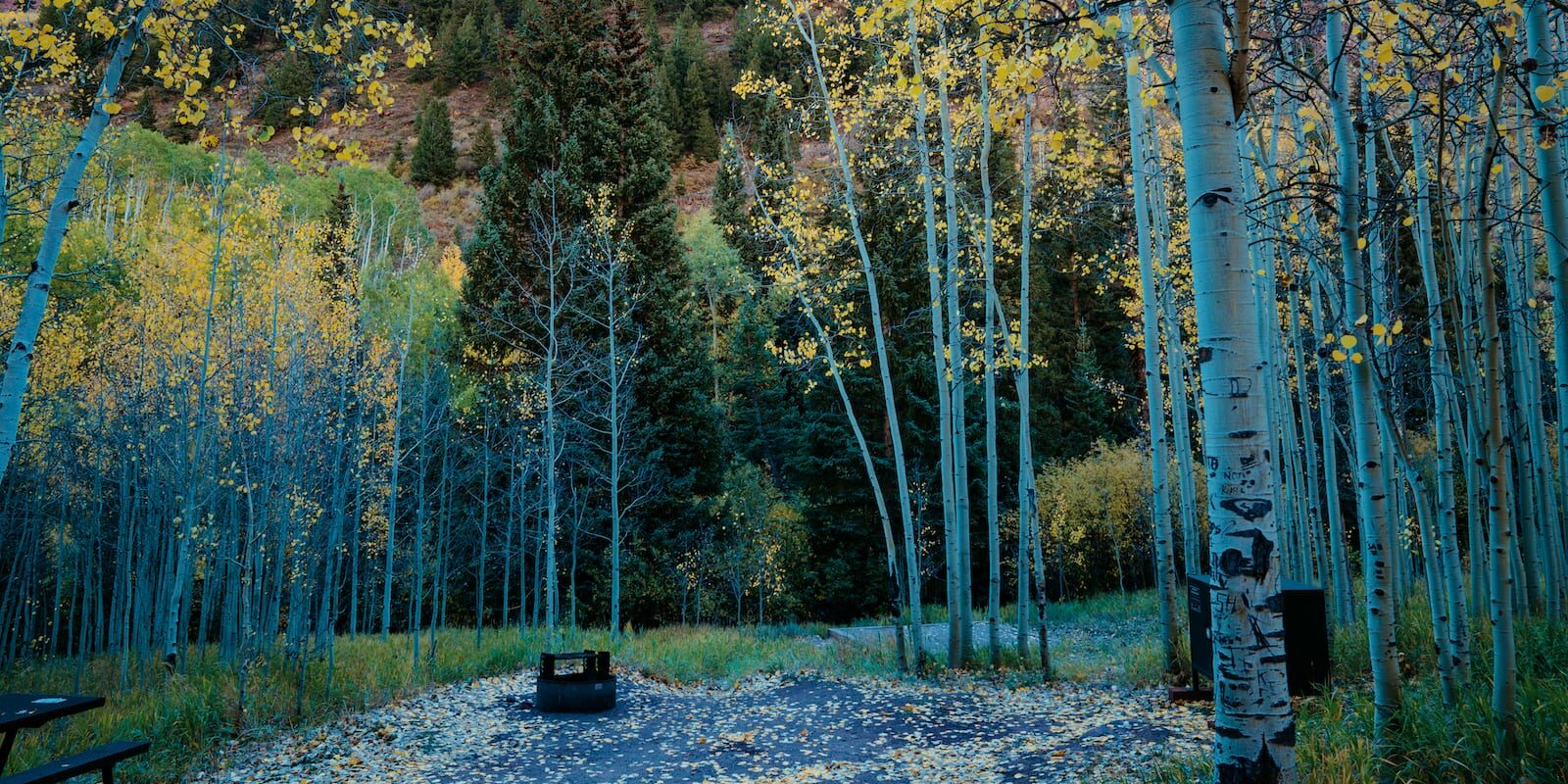 camping-near-aspen-co-silver-bell-campground-1600x800-1