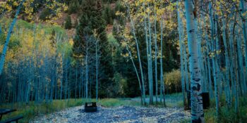 camping-near-aspen-co-silver-bell-campground-1600x800-1