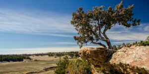 Castlewood Canyon State Park Franktown CO