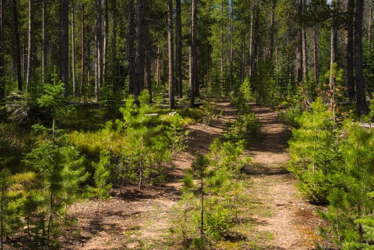 Gould, Colorado Activities and Events Jackson County