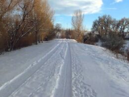 Highline Canal Trail Denver Colorado Winter