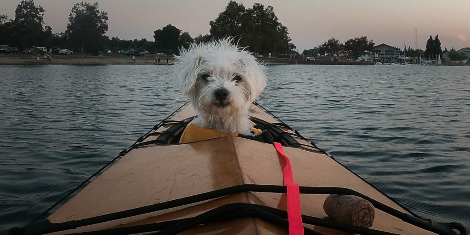 How To Kayak With Your Dog This Season