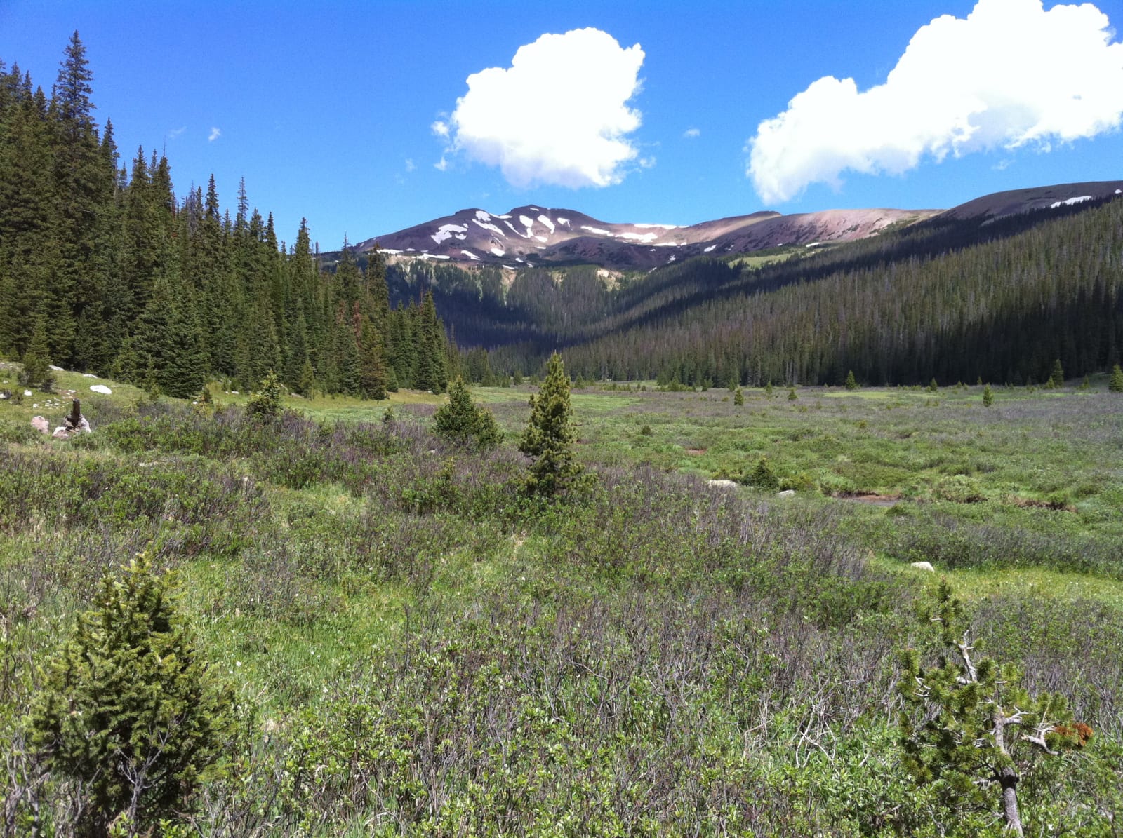 Neota Wilderness Colorado