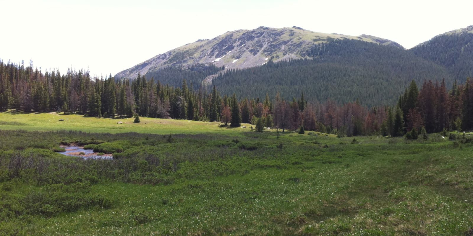 Neota Wilderness Colorado