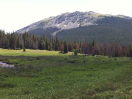 Neota Wilderness Colorado