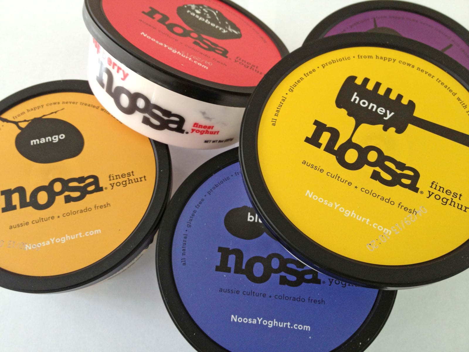 noosa yogurt tour