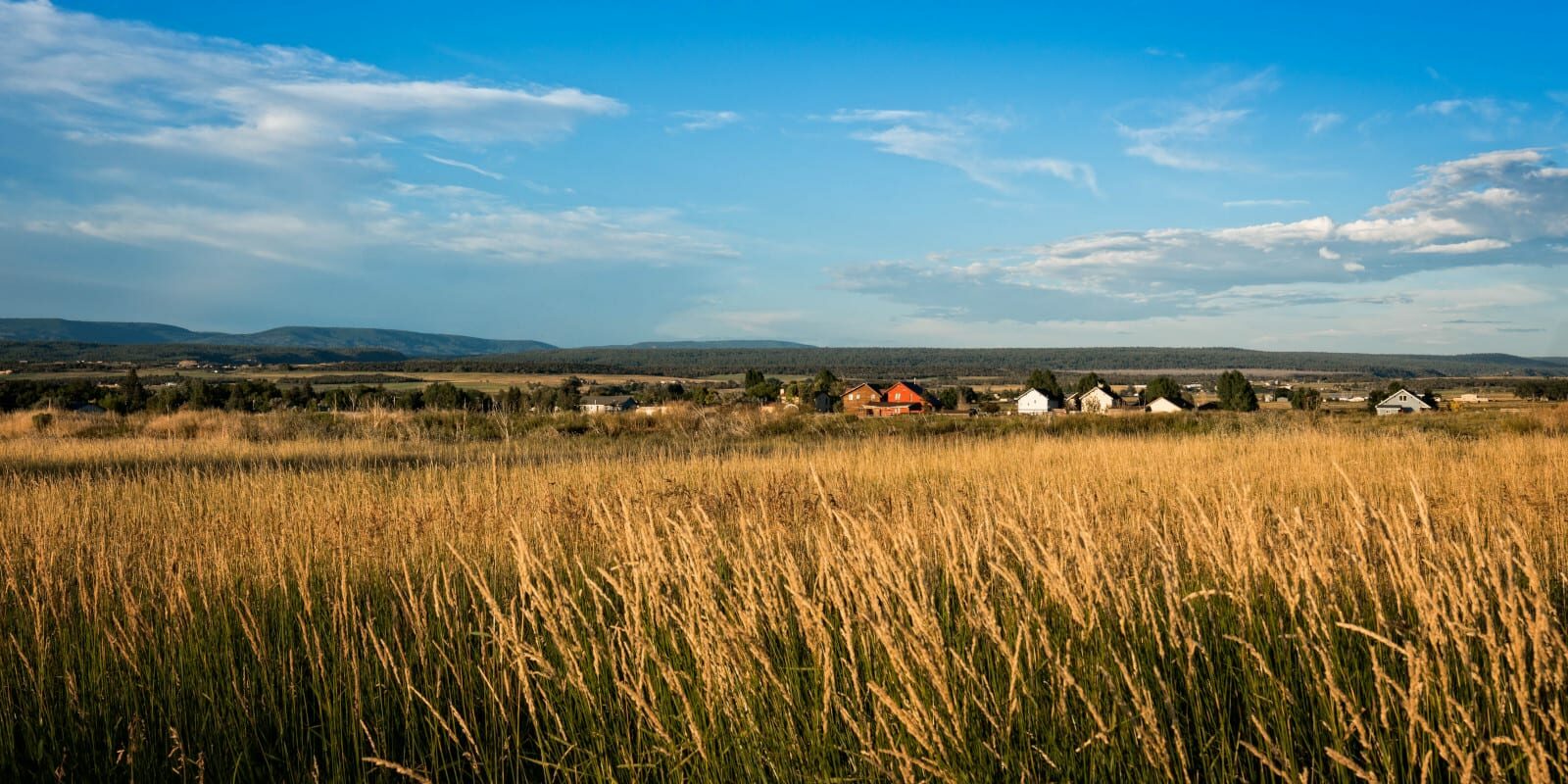 Norwood Colorado Town Homes