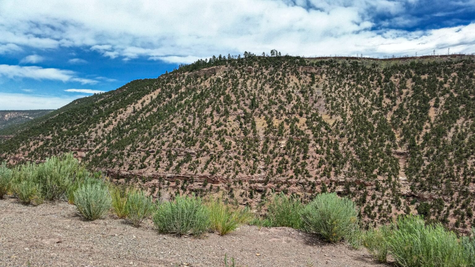 Norwood, Colorado Activities and Events San Miguel County