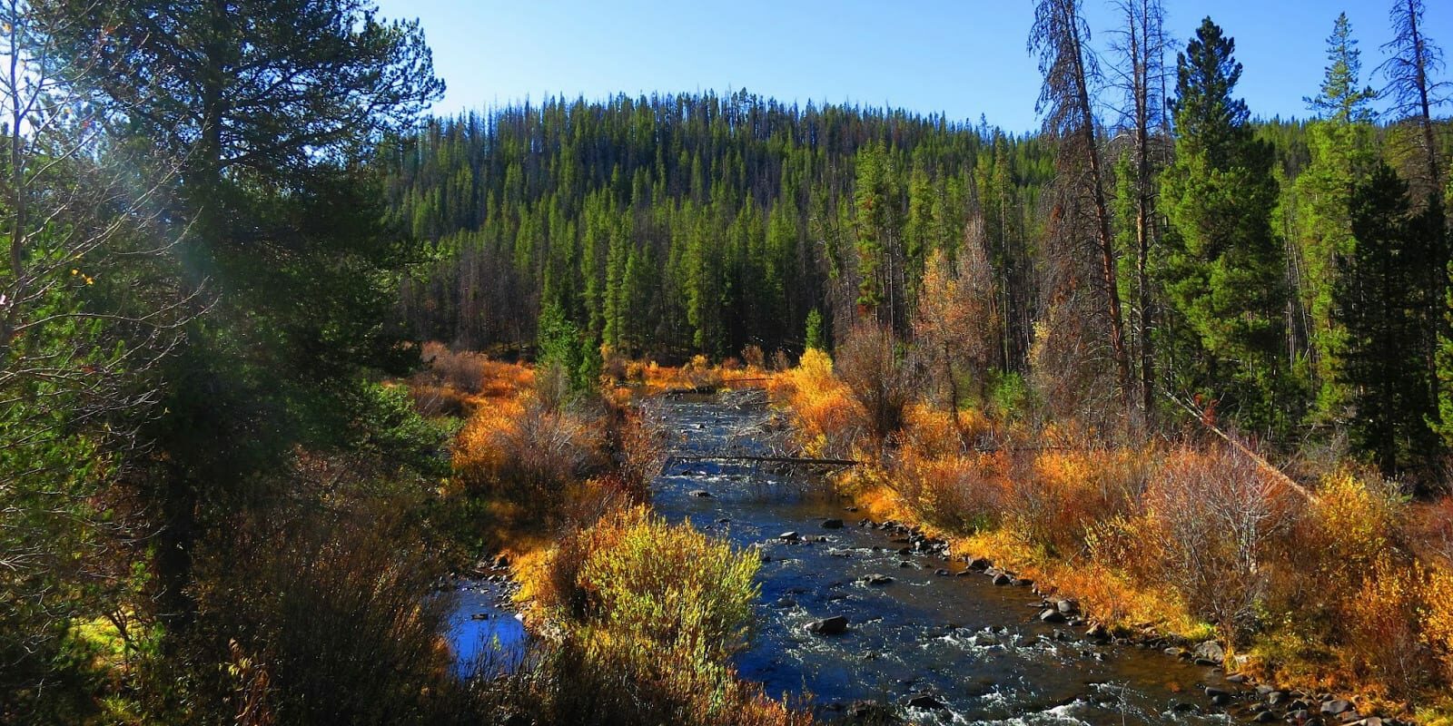 Platte River Wilderness Douglas Creek WY