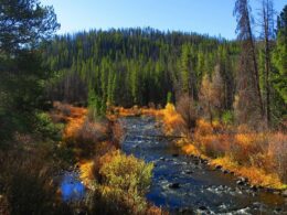 Platte River Wilderness Douglas Creek WY