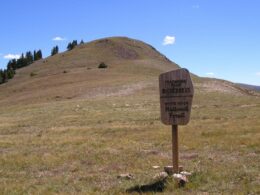 Ptarmigan Peak Wilderness White River National Forest Sign