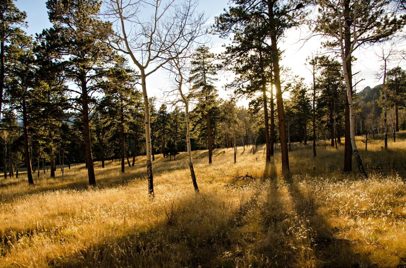 Sunset Hike Staunton State Park Conifer Colorado