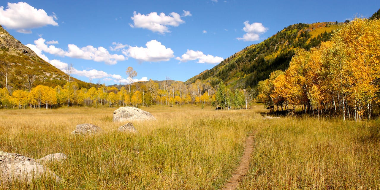 Swamp Park Trail Single Track Steamboat Springs Autumn Colors