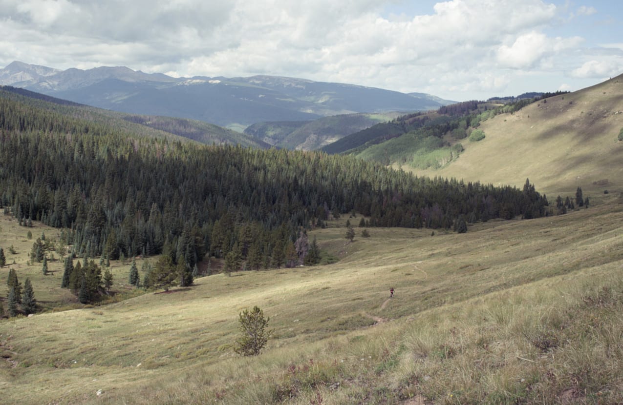 Two Elk Trail Vail Colorado Single Track
