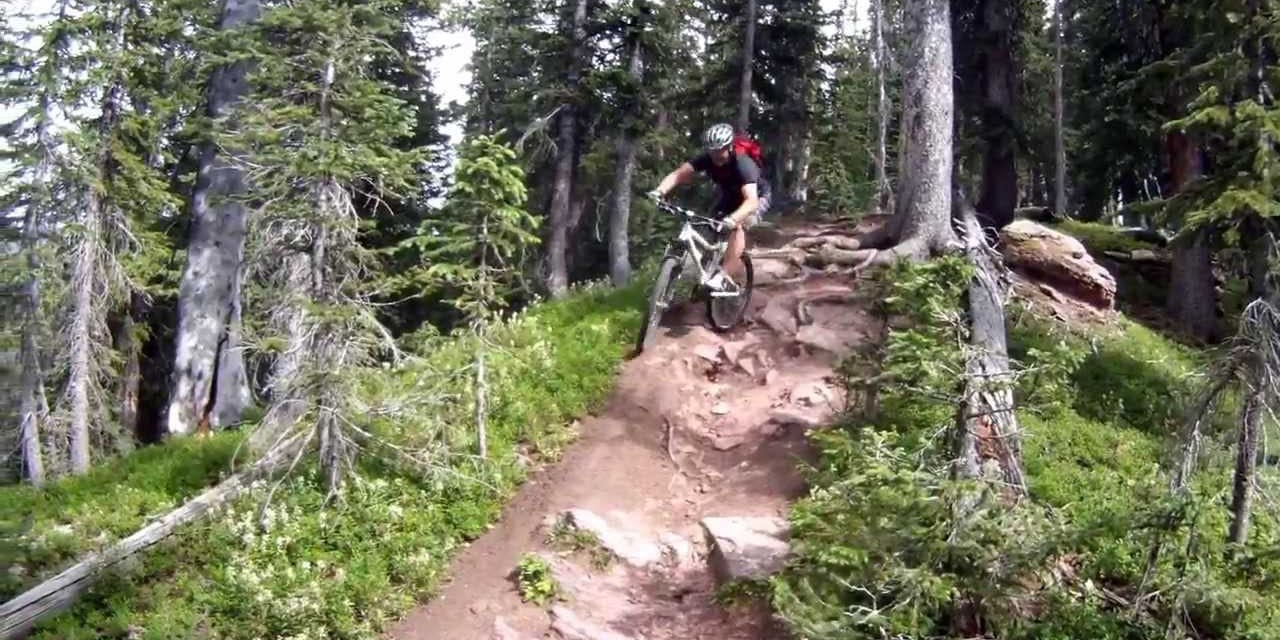 Two Elk Trail Mountain Biker Rocky Single Track