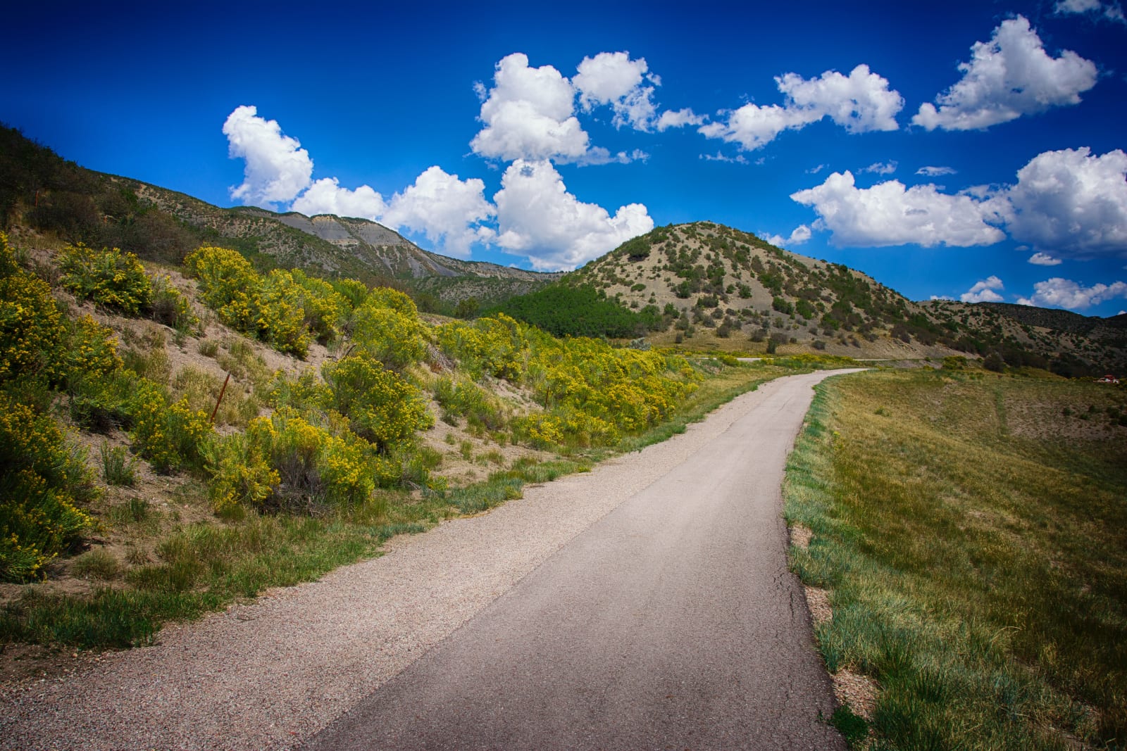 Woody Creek Colorado Country Road
