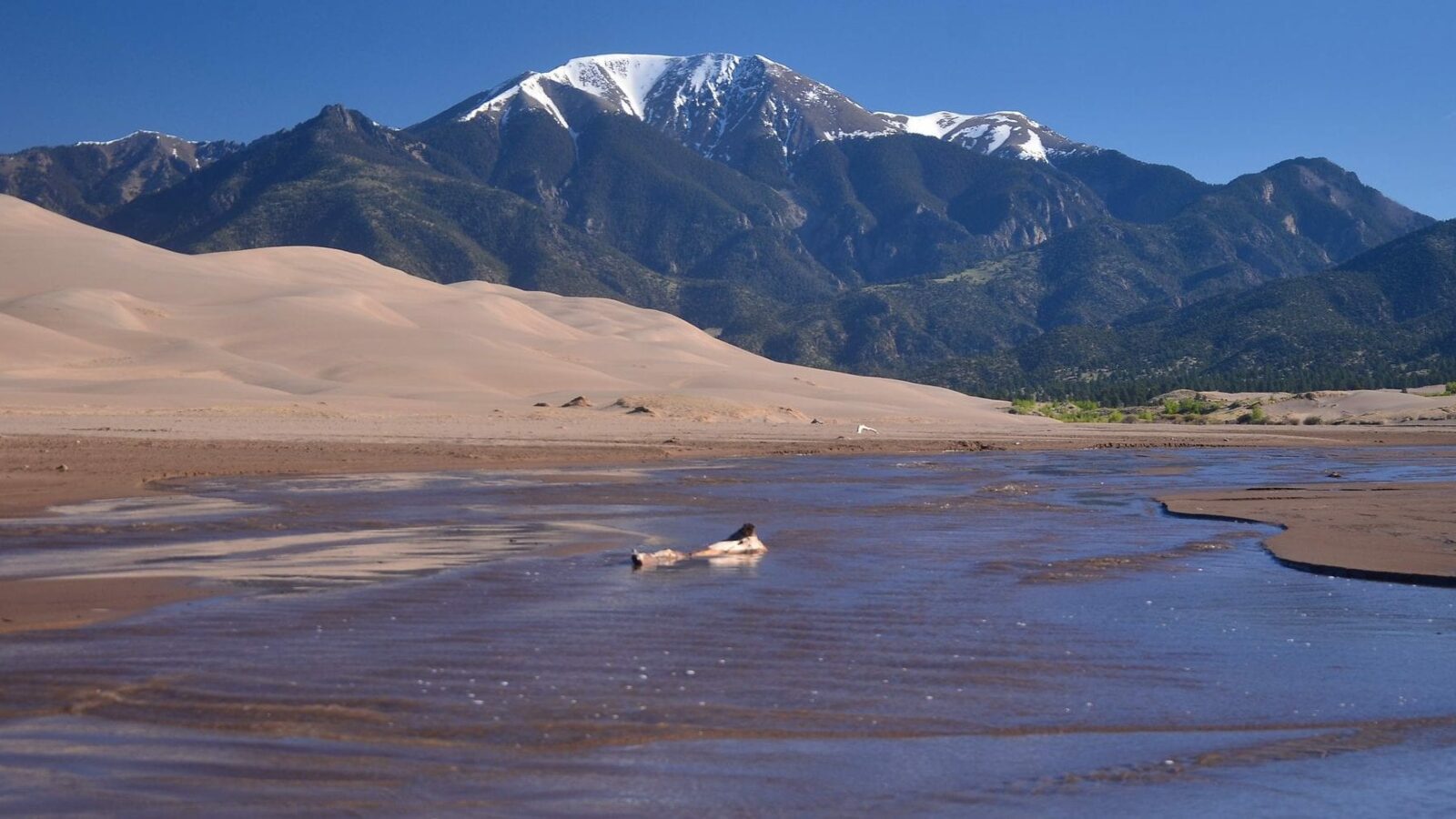 image of Medano Creek at Great Sand Dunes