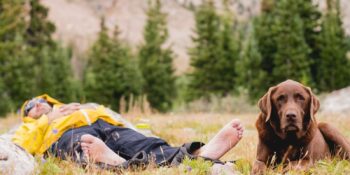 Mountain Living Man and Dog Lying Down Colorado Rocky Mountains