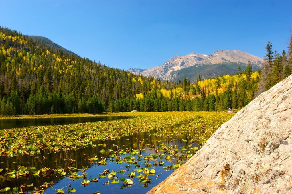 Estes Park Day Hike Cub Lake