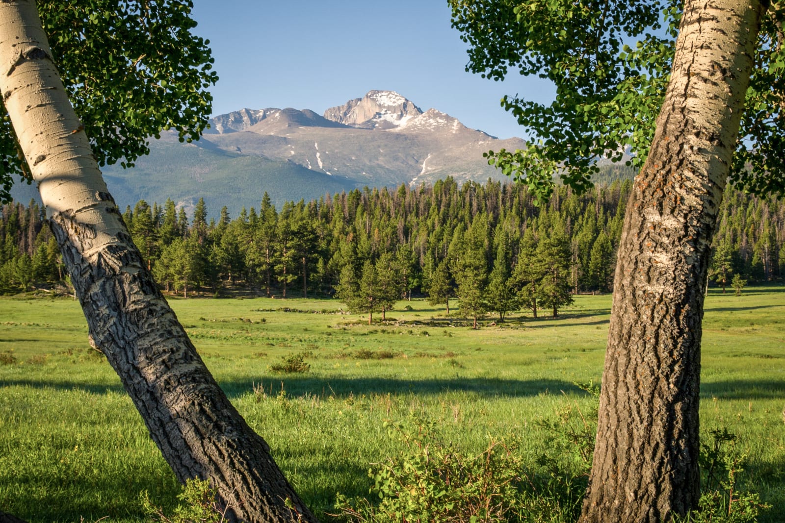 Rocky Mountain National Park Wilderness Longs Peak Trees