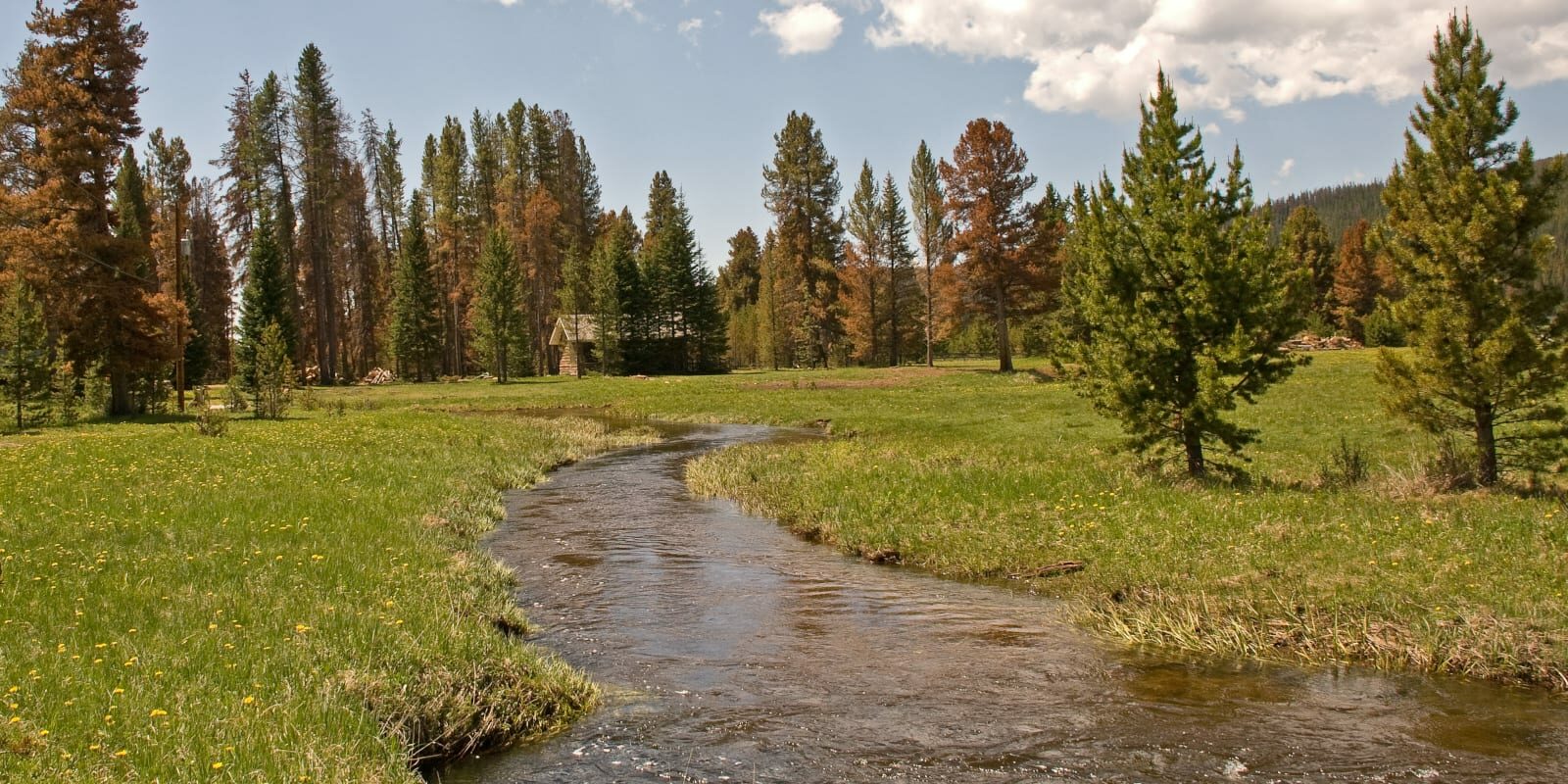 Rocky Mountain National Park Wilderness Rustic Cabin